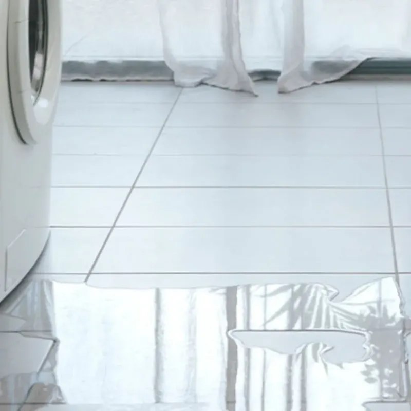Appliance Leak Cleanup in Parker, SC
