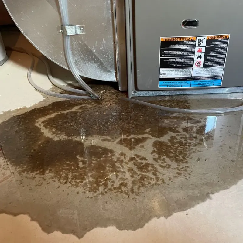 Pipe Burst and Leak Restoration in Parker, SC